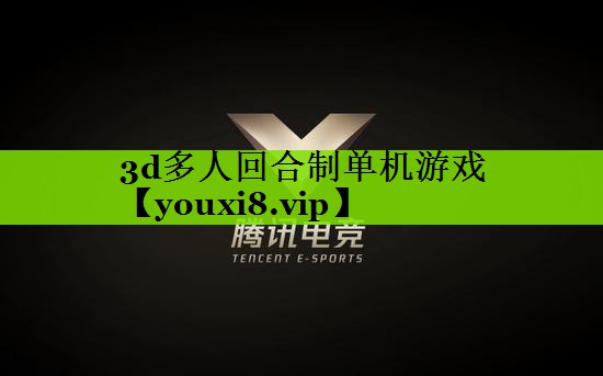 3d多人回合制单机游戏